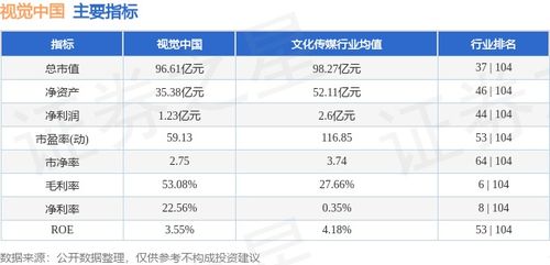 视觉中国本周下跌2.89%，主力资金净流出7718万，计算机软硬件开发业务承压