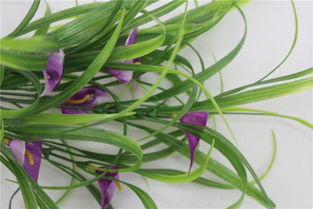 仿真马蹄莲庭院绿化与批发 技术开发与环保美化的完美结合